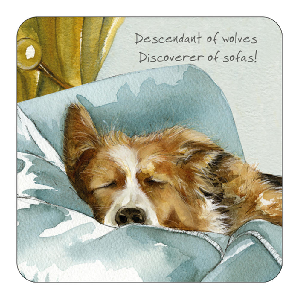 Border hotsell collie coasters